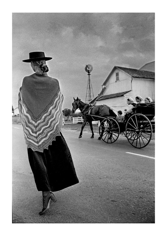 Ann Schaufuss – Walking in Amish Country II