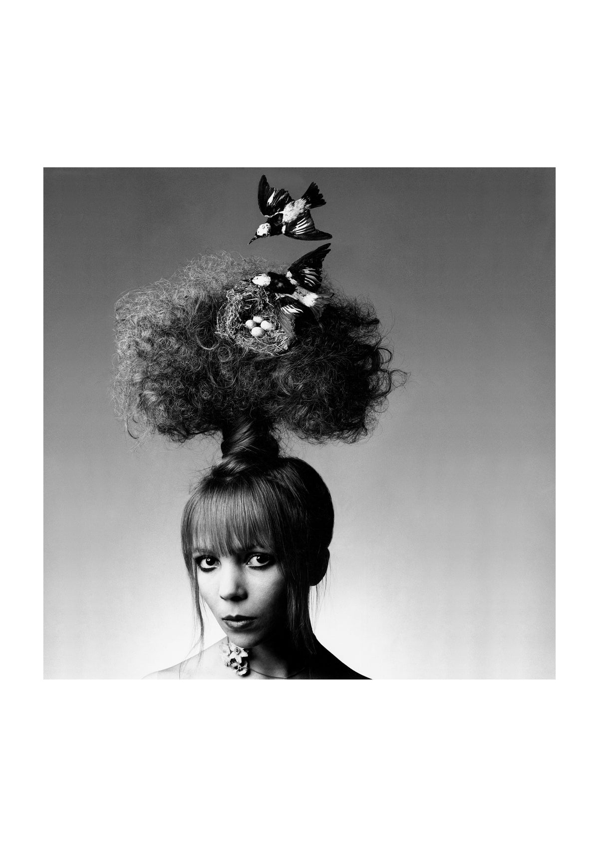 Penelope - Tree Hair